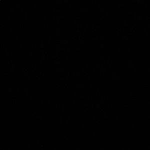 Meet your Posher, Lynette